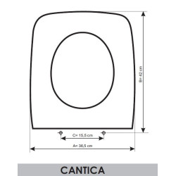 Ideal Standard Cantica