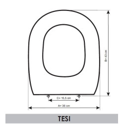 Toilet Seat Ideal Standard Tesi adaptable in Resiwood