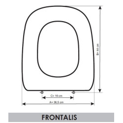 Roca Frontalis adaptable