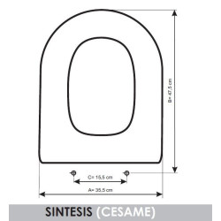 Cesame Sintesis